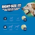 Chuckit! Air Glow Fetch Ball for Medium Dogs