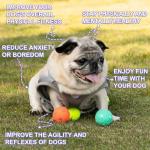 WIGGLYTAIL 9-Pack Interactive Dog Balls for Puppies