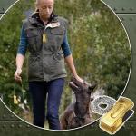 Brass Pet Training Clicker Set for Dogs and Cats