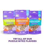Outward Hound Peanut Butter Dog Treats Puzzle