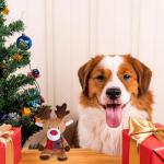 Christmas Reindeer Plush Dog Toy with Squeaker