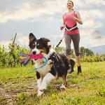 Wodoca Tug Toy for Aggressive Chewers, Large Dogs