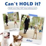 Adjustable Prong Training Collar for Dogs