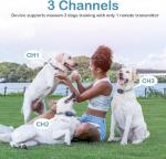 Remote Dog Training Collar with 4 Modes