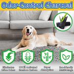 Charcoal Dog Training Pads 100 Count - 22"x22