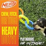 Nerf Dog 11.5in TPR Tug Toy - Bright Colors