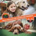 No Shock Dog Training Collar with Remote 3300ft