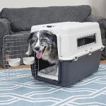 Large Rolling Plastic Dog Crate by SportPet Designs