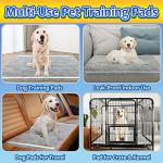 Charcoal Dog Training Pads 100 Count - 22"x22