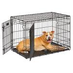 MidWest Double Door 36-Inch Folding Dog Crate