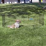 MidWest Folding Metal Dog Exercise Pen, 16 Sq Ft