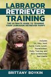 Labrador Retriever Training Guide for Puppies