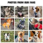 BeautyZoo Small Dog Harness and Leash Set