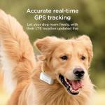 Petcube GPS Dog Tracker with Virtual Fences