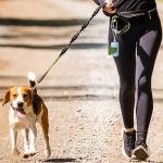 Dog Poop Bag Holder for Leash - 2 Pack