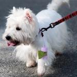 Dog Poop Bag Holder for Leash - 2 Pack