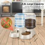 2 Pack Automatic Pet Feeder and Water Dispenser