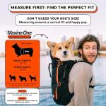 Maxine One Medium Dog Backpack Carrier - Black