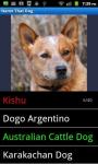 Dog Breed Identification Game for Pups