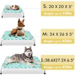 Elevated Dog Bed for Small Pets, Indoor/Outdoor