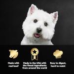 Cesar Wet Dog Food Variety Pack, 24 Count