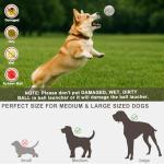 Automatic Dog Ball Launcher with Remote Control