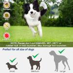 Automatic Ball Launcher for Dogs with Remote