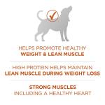 Purina ONE Healthy Weight High-Protein Dog Food