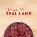 Purina ONE Wet Puppy Food with Lamb & Rice