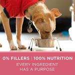 Purina ONE Sensitive Stomach Dry Dog Food 16.5 lb