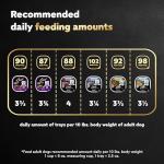 Cesar Steak and Chicken Dog Food Variety Pack