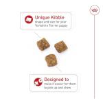 Royal Canin Yorkshire Terrier Puppy Dry Dog Food