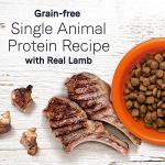 Canidae Under the Sun Grain-Free Dog Food, Lamb