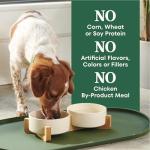 Nutro Natural Choice Senior Dog Food, Chicken & Rice