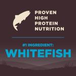 Wellness CORE Grain-Free Ocean Fish Dog Food