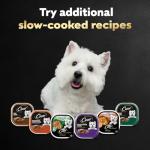 Cesar Steak and Chicken Dog Food Variety Pack