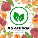 Purina Beneful Wet Dog Food Variety Pack 12 Tubs