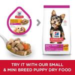 Hill's Puppy Small Breed Wet Dog Food Stew 12-Pack