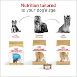 Royal Canin Yorkshire Terrier Puppy Dry Dog Food