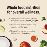 Honest Kitchen Grain-Free Chicken Dry Dog Food