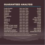 Wellness CORE Grain-Free Ocean Fish Dog Food