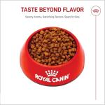 Royal Canin Yorkshire Terrier Puppy Dry Dog Food