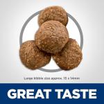 Hill's Science Diet Senior Large Breed Dog Food