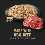 Purina Pro Plan Senior Beef and Rice Dog Food