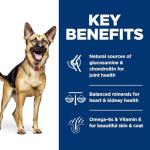 Hill's Science Diet Senior Large Breed Dog Food