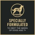 Purina Pro Plan Senior Beef and Rice Dog Food