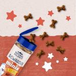 Natural Balance Salmon Grain-Free Training Treats for Dogs