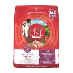 Purina ONE Plus High Protein Puppy Food 16.5 lb