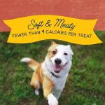 Natural Balance Salmon Grain-Free Training Treats for Dogs