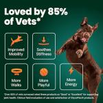 VetriScience Hip & Joint Chews for Dogs, Chicken